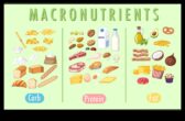 Gelişen bir beden ve zihin için makro temelleri optimal sağlık için yemek için bir rehber